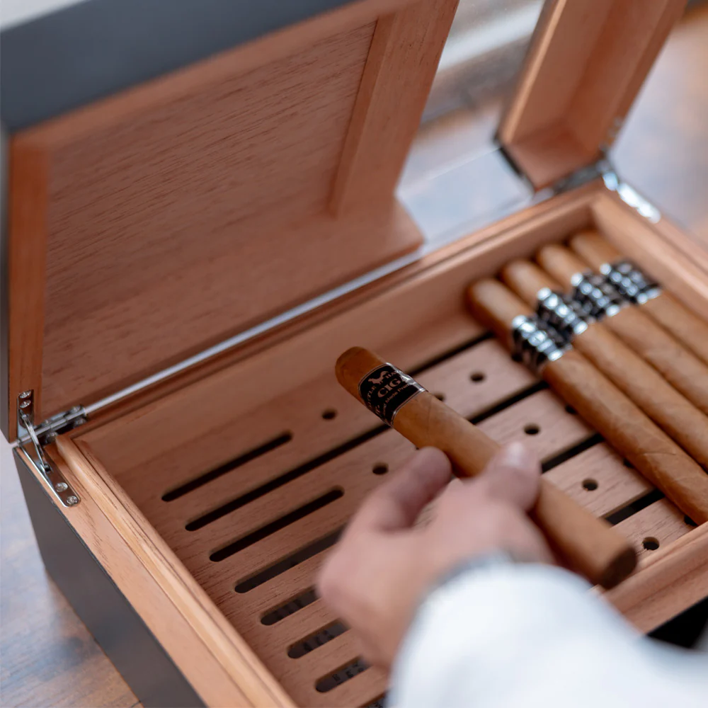 Cigar Humidor - Image 6